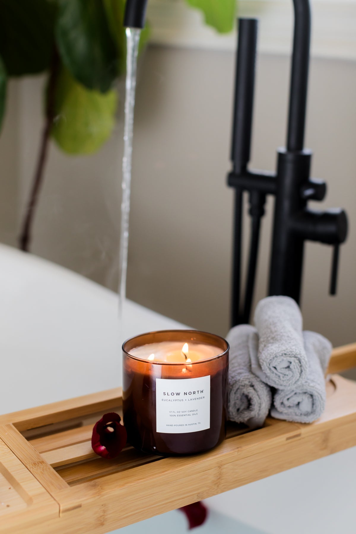 Eucalyptus + Lavender - Signature 3-Wick Candle Slow North