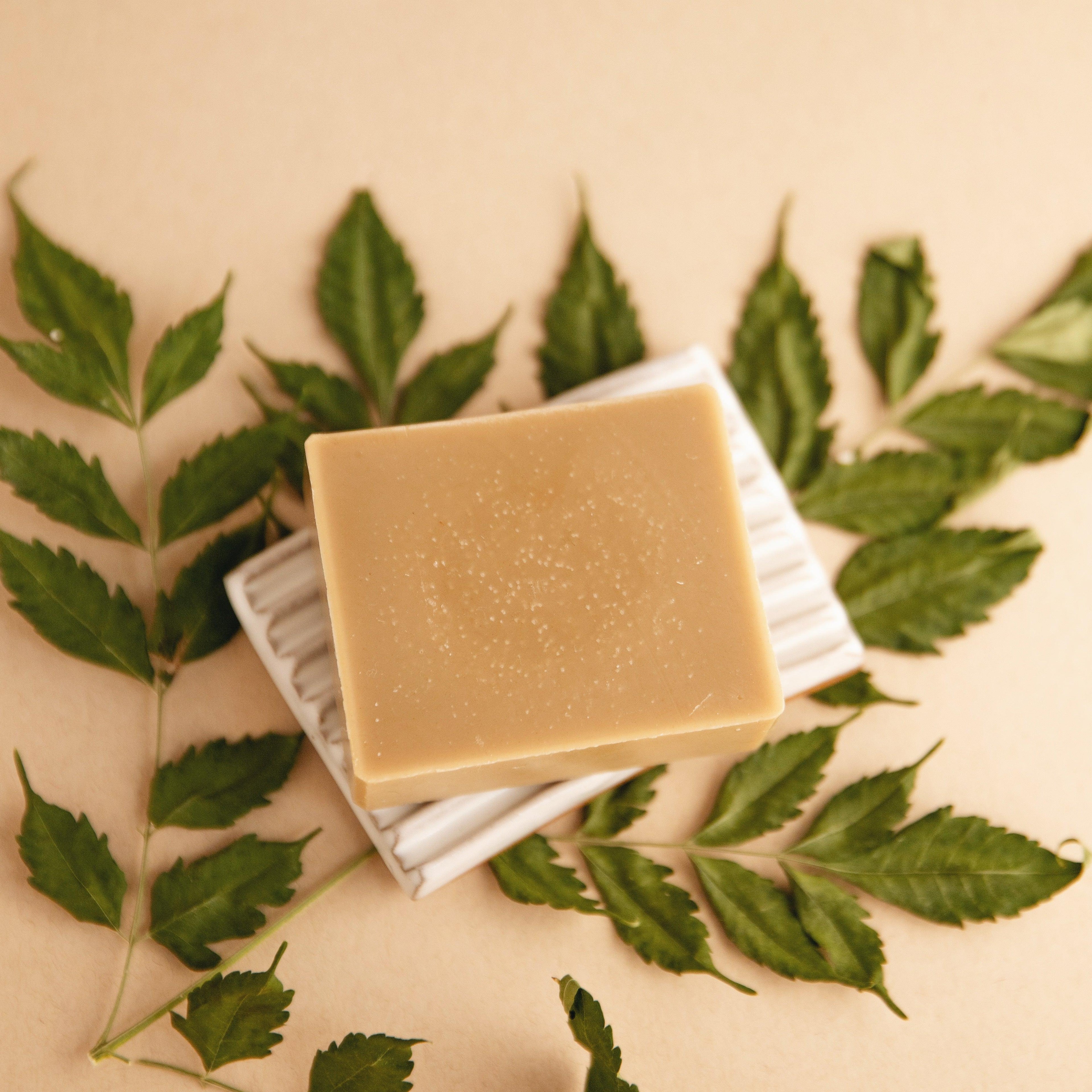 Forest Bathing - Natural Bar Soap Slow North