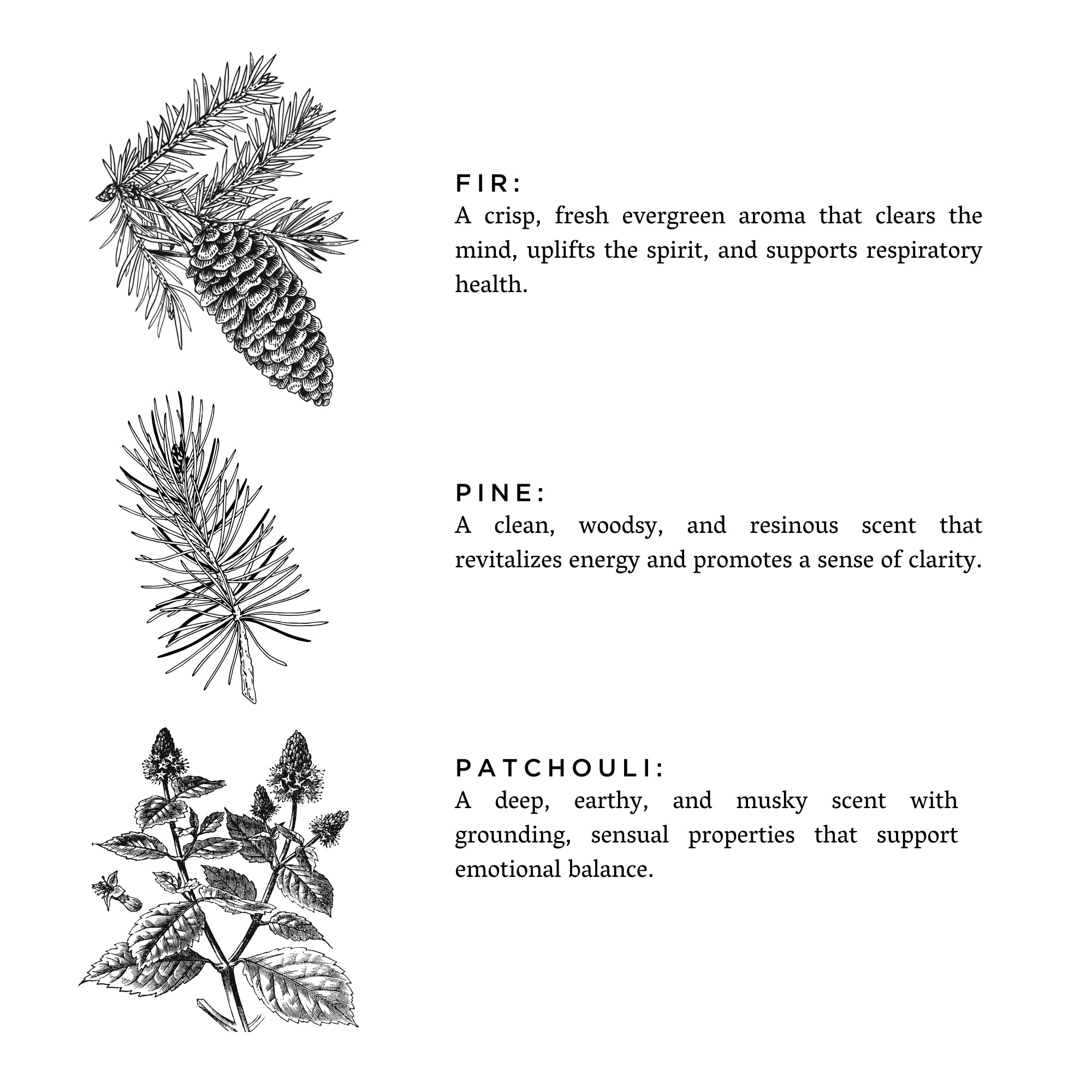Forest Bathing - Natural Bar Soap Slow North