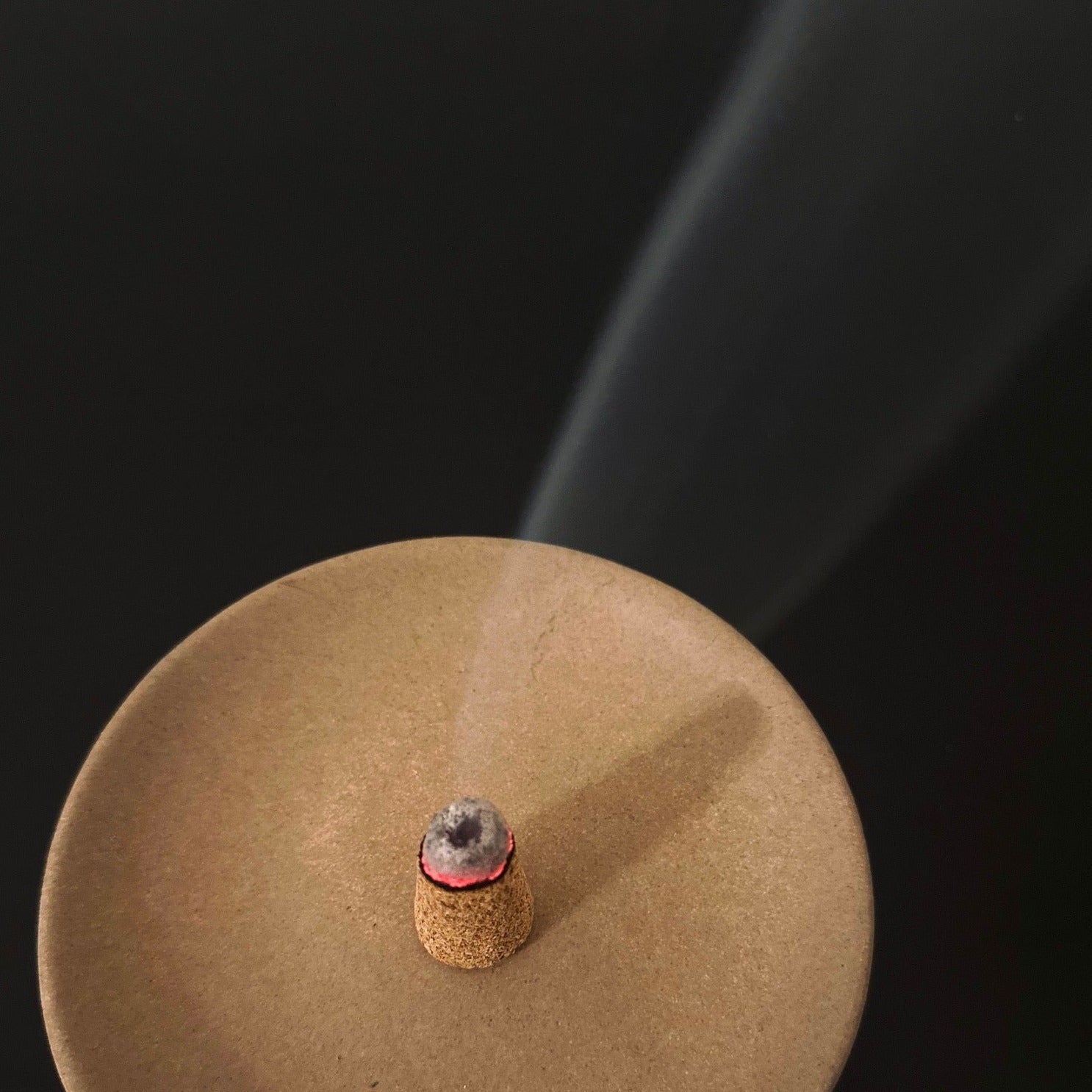 Palo Santo Incense Cones Slow North