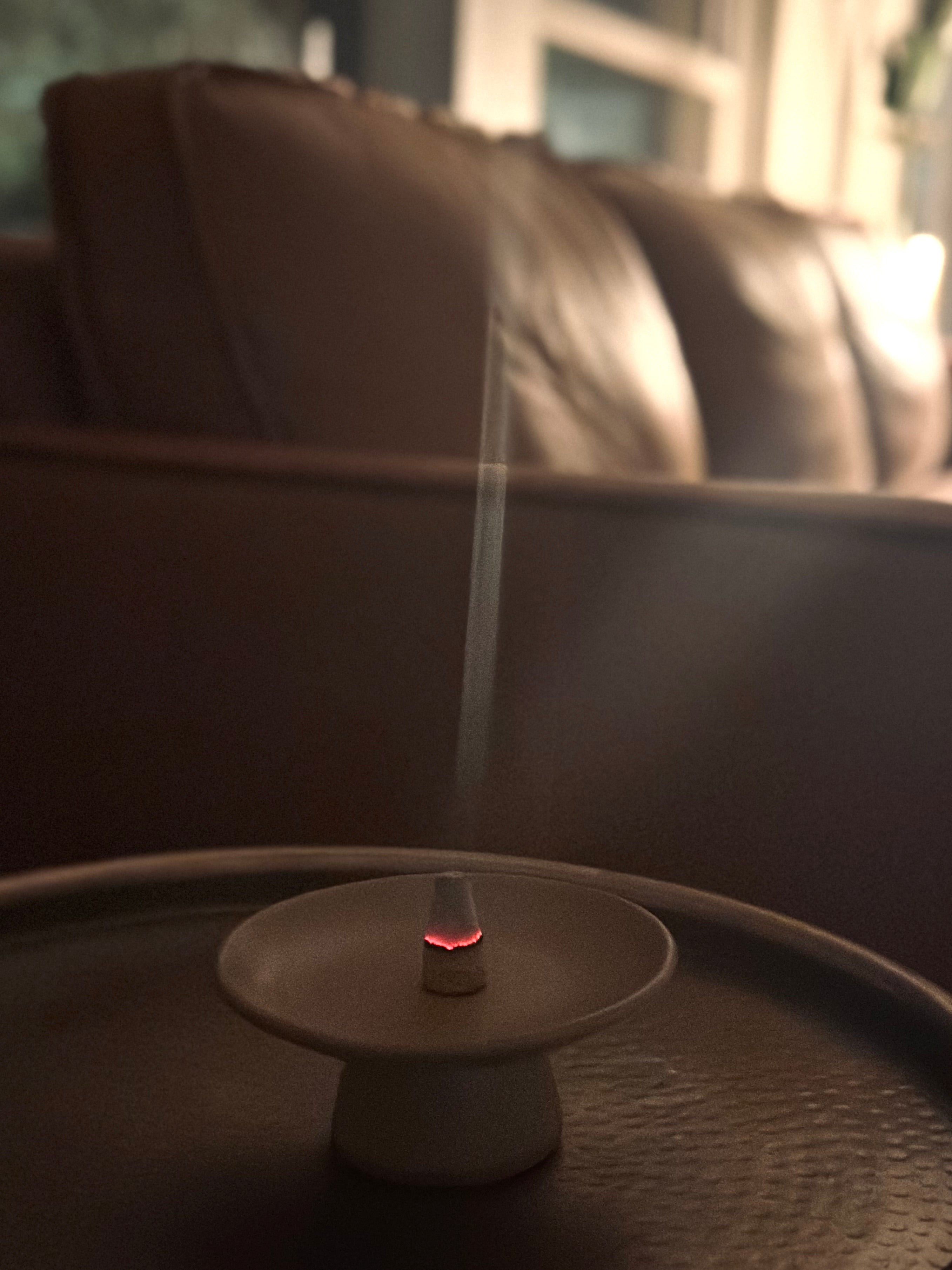 Palo Santo Incense Cones Slow North