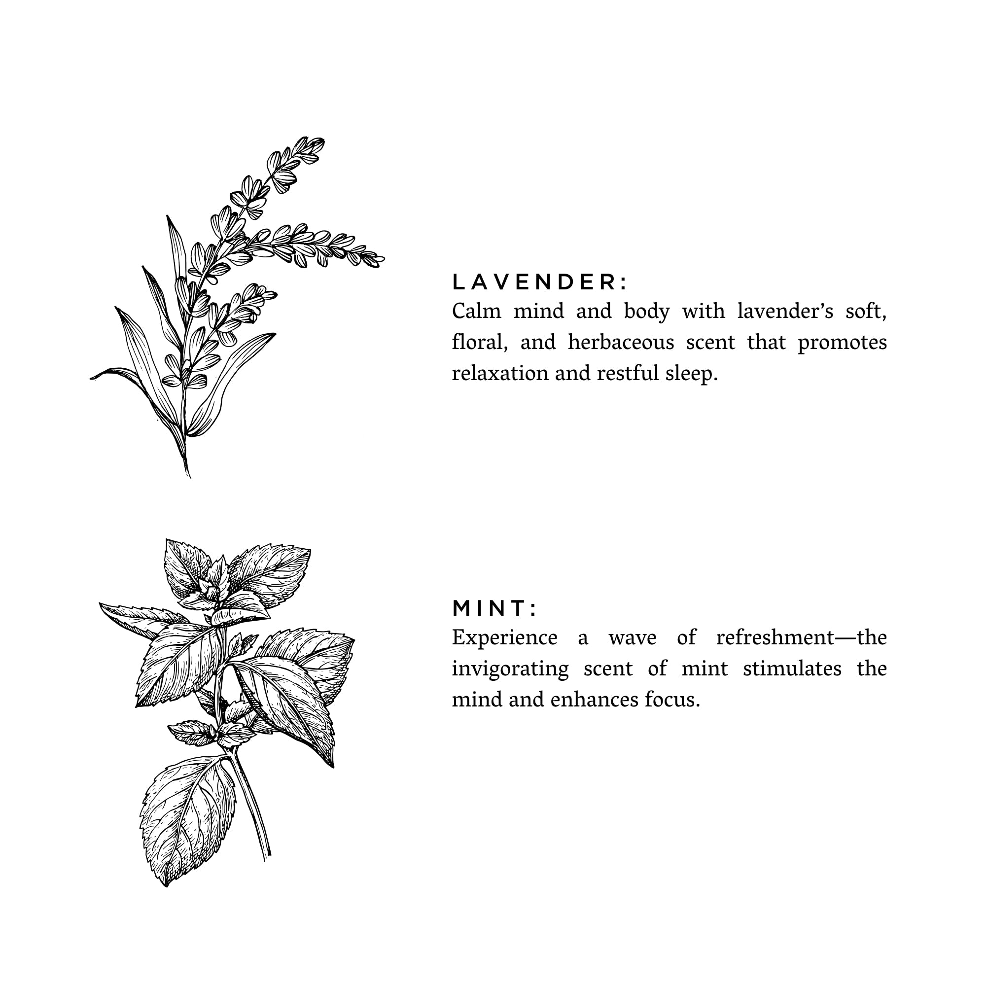 Linen Spray - Lavender + Mint Slow North