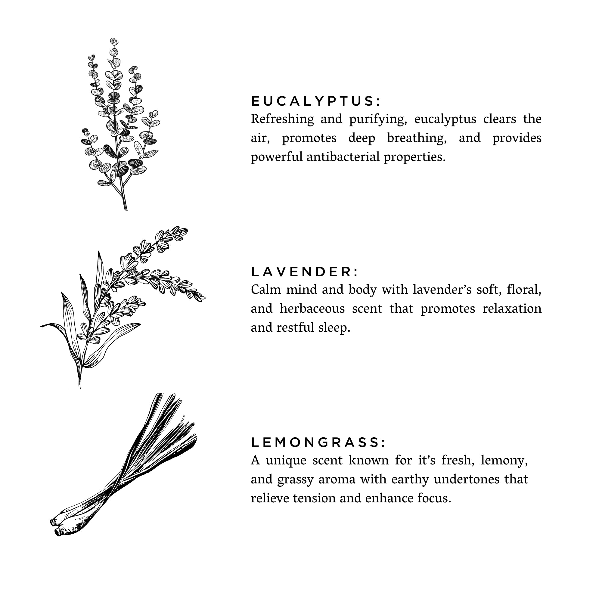 Linen Spray - Shangri-La - Eucalyptus + Lavender + Lemongrass Slow North