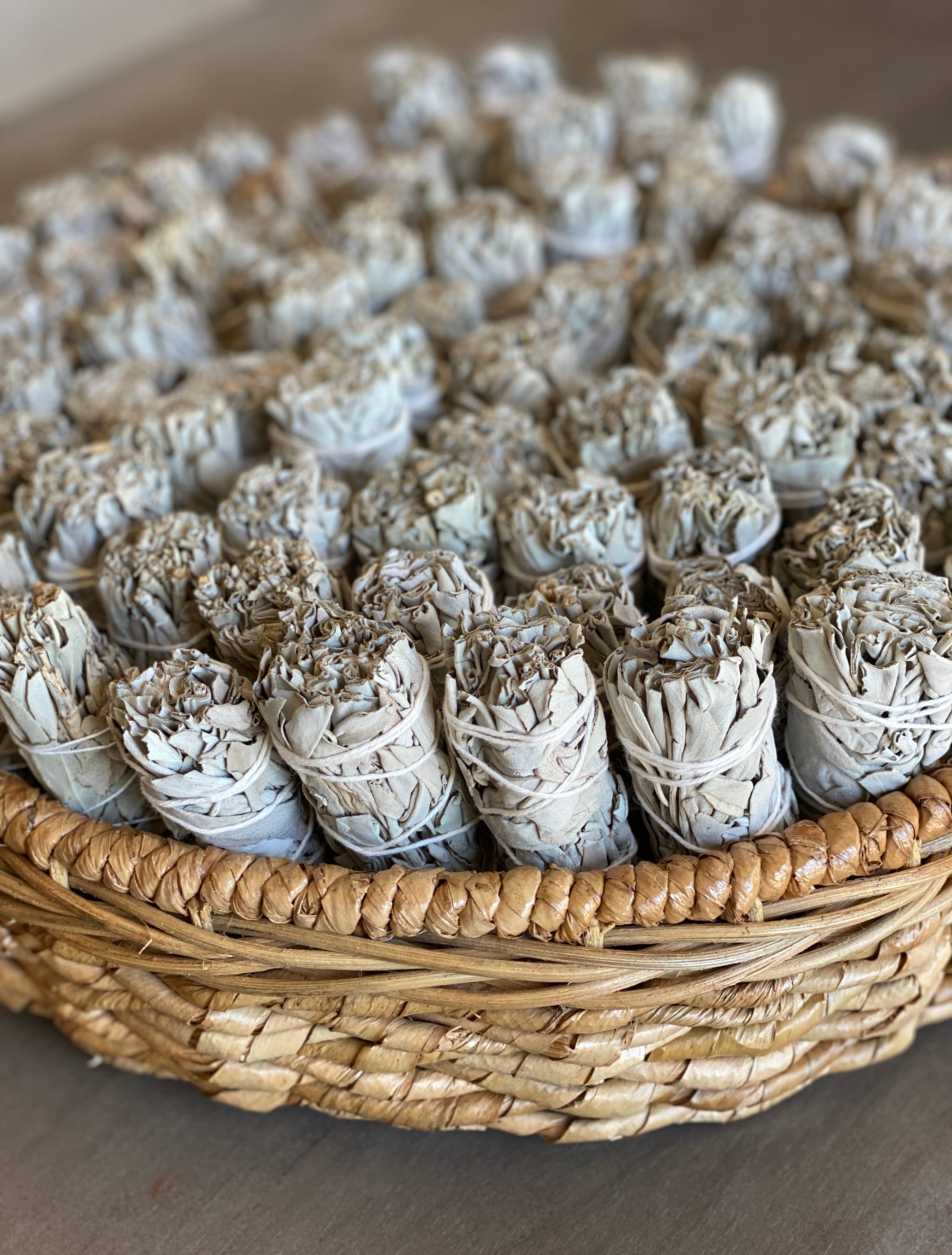 White Sage Smudge (2-pack) Ginger's Roots